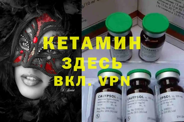 сатива Билибино