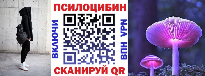 Псилоцибиновые грибы прущие грибы  hydra маркетплейс  маркетплейс как зайти  Знаменск 
