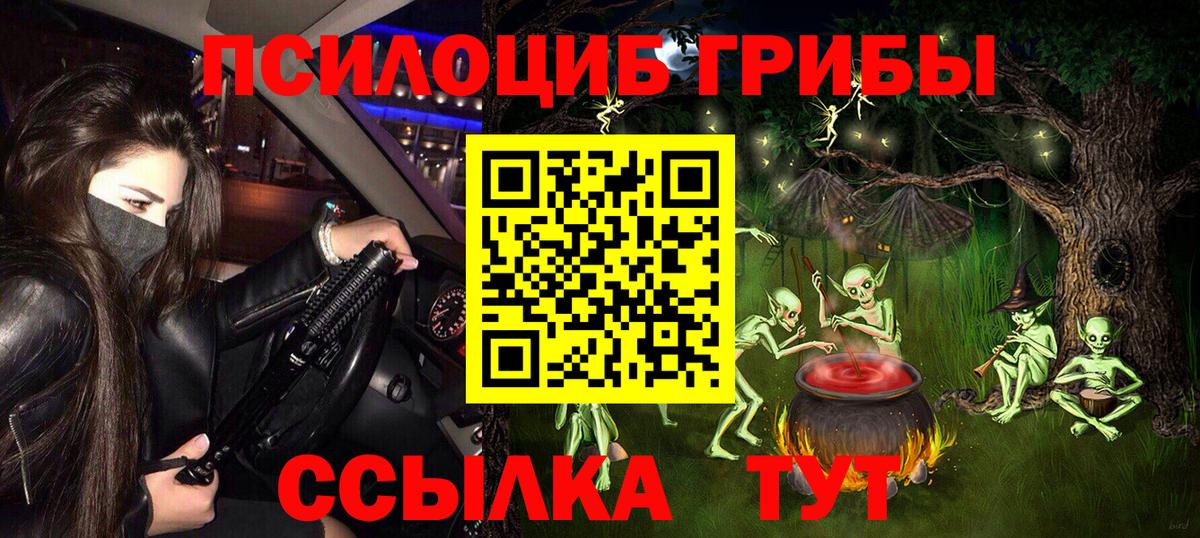 Псилоцибиновые грибы прущие грибы Знаменск