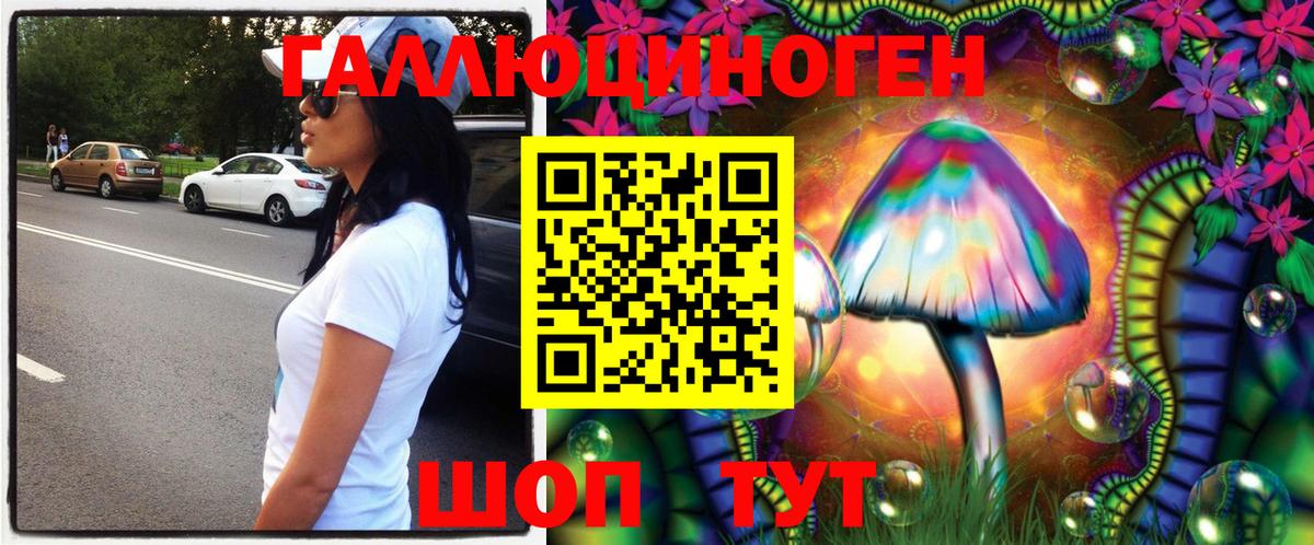 продажа наркотиков  Псилоцибиновые грибы Magic Shrooms  Вход с VPN  Знаменск 