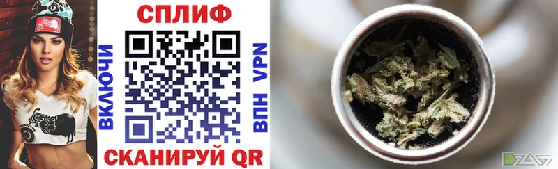 Конопля гибрид Знаменск